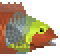 Mediterranean Parrotfish image from NiaMeowDB