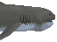 meat Megamouth Shark image from NiaMeowDB