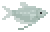 Moonlight Gourami image from NiaMeowDB