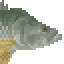 Nile Perch image from NiaMeowDB