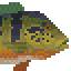 Peacock Bass image from NiaMeowDB