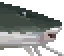 Piraiba Catfish image from NiaMeowDB