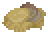 Platyceramus image from NiaMeowDB