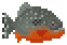 Red Bellied Piranha image from NiaMeowDB