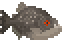 Redeye Piranha image from NiaMeowDB