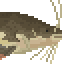 Redtail Catfish image from NiaMeowDB