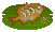 Blue Gill image from NiaMeowDB