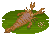 Crab Trap Ciurcopterus image from NiaMeowDB