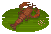 Crab Trap Red Swamp Crayfish image from NiaMeowDB