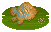 Eomesodon image from NiaMeowDB
