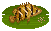 Indonesian Tiger Perch image from NiaMeowDB