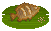 Malayan Leaffish image from NiaMeowDB