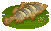 Nile Perch image from NiaMeowDB