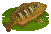 Peacock Bass image from NiaMeowDB