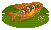 Pearl Gourami image from NiaMeowDB