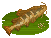 Redtail Catfish image from NiaMeowDB
