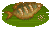 Snakeskin Gourami image from NiaMeowDB