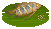 Three Spot Gourami image from NiaMeowDB
