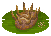 Wiwaxia image from NiaMeowDB