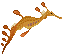 Seadragon image from NiaMeowDB