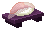 Salmon Snailfish image from NiaMeowDB