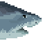 meat Tiger Shark image from NiaMeowDB
