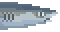 meat Whitetip Reefshark Head image from NiaMeowDB