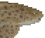 meat Zebra Shark image from NiaMeowDB